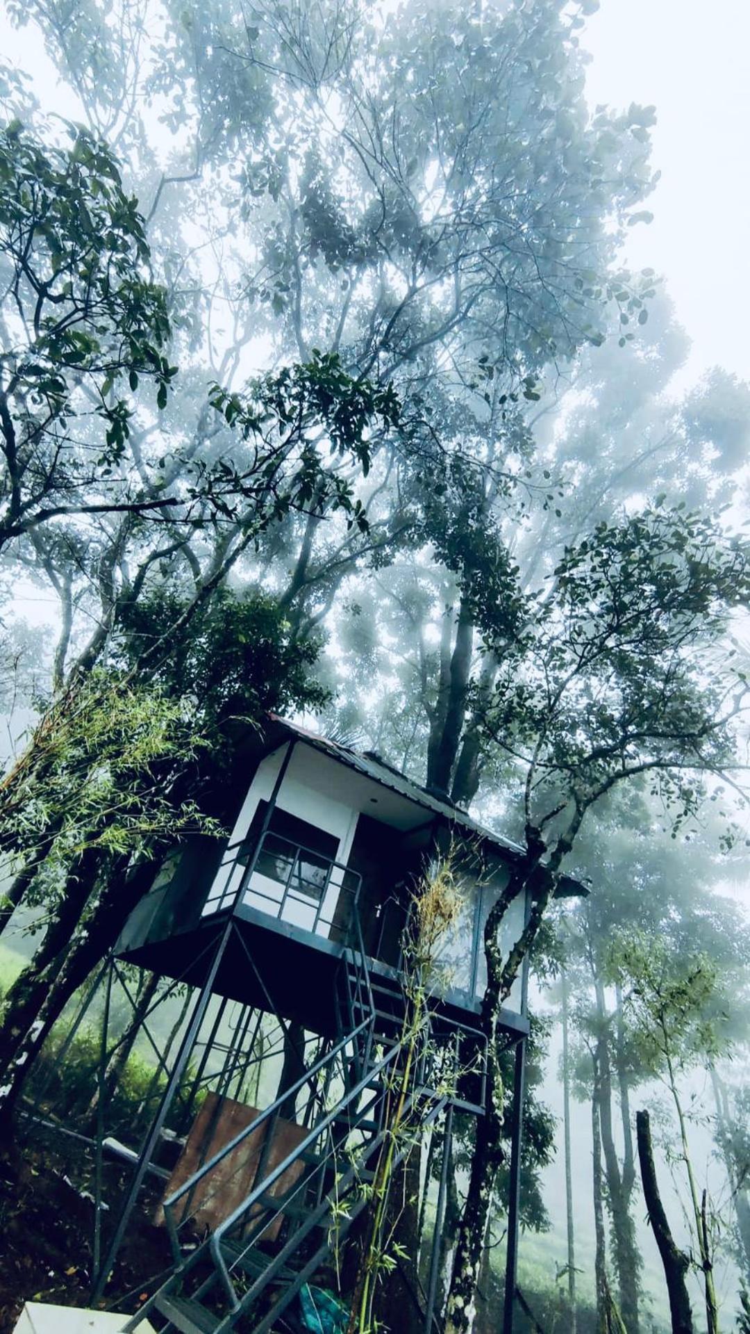 Vila Silent House Kudayattur Exteriér fotografie