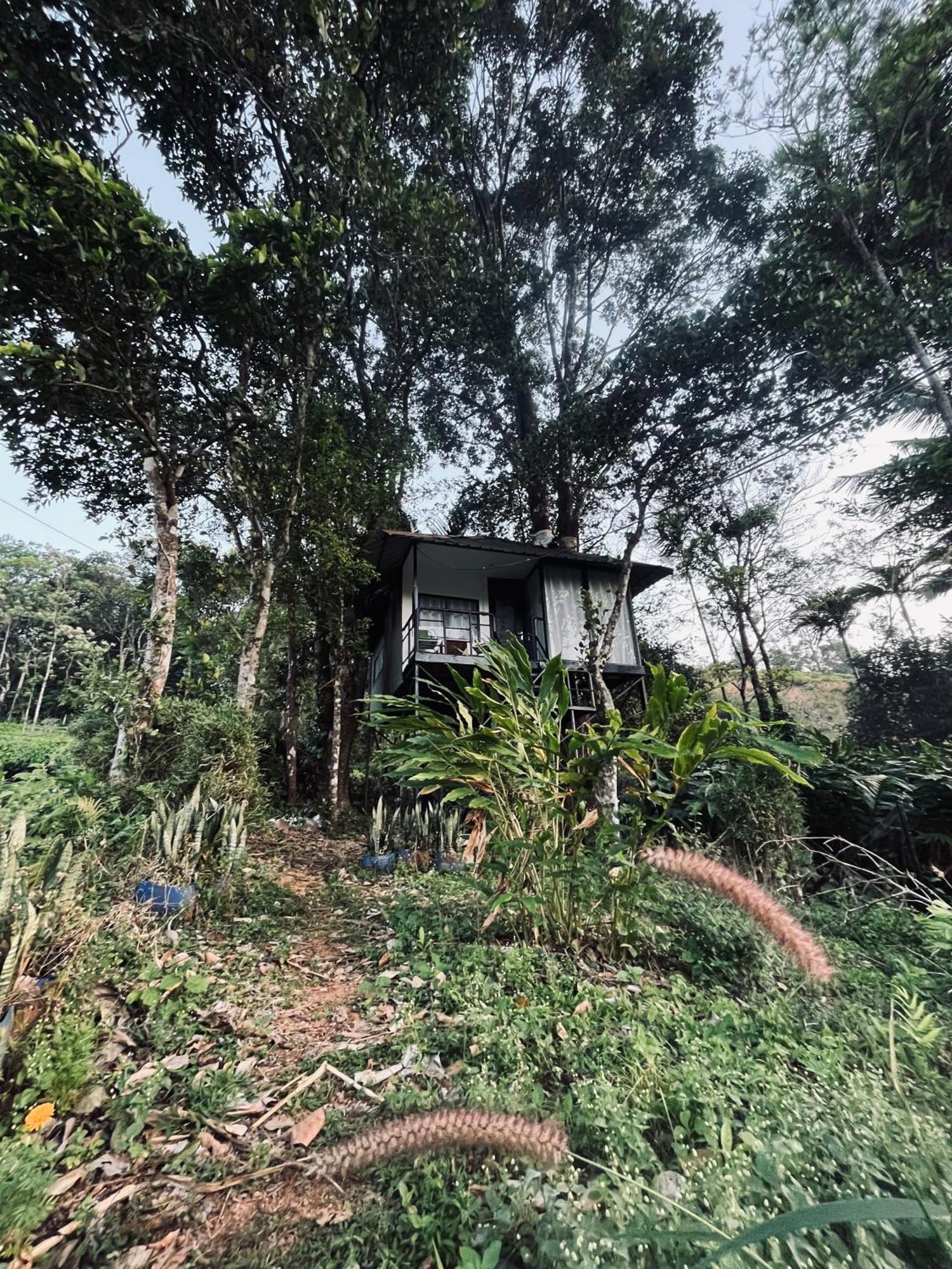 Vila Silent House Kudayattur Exteriér fotografie