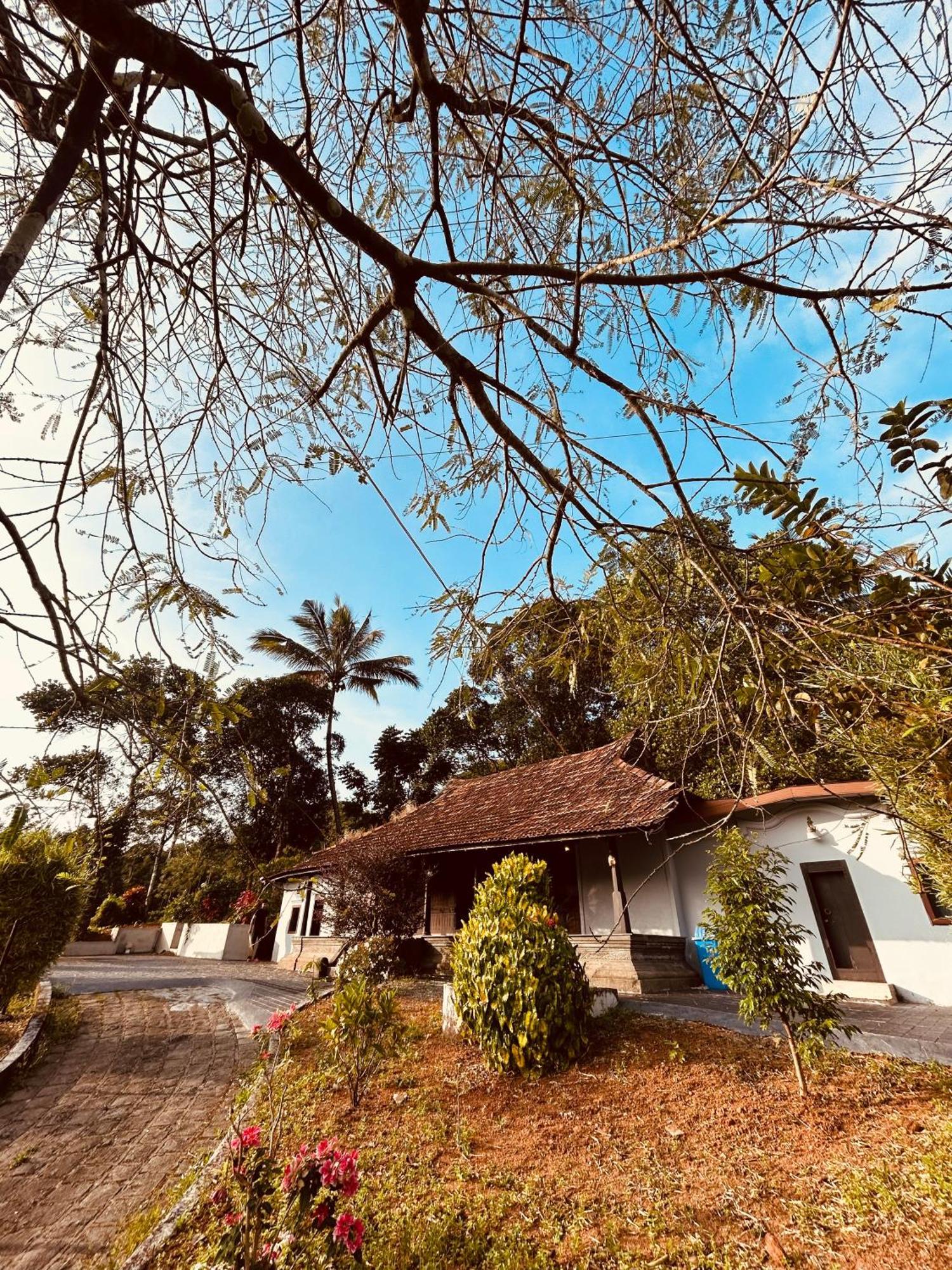 Vila Silent House Kudayattur Exteriér fotografie